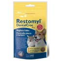 RESTOMYL DENTALCROC 60GR