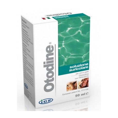 ICF Otodine 100 ml