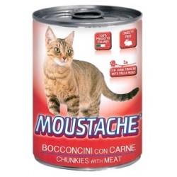 MOUSTACHE GATTO BOCC CARNE 415GR