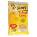 RAF HOLLAND COVA 300GR