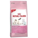 BABYCAT 2KG