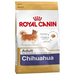 CHIHUAHUA 1,5KG