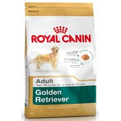 GOLDEN RETRIEVER 12KG