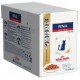 Royal Canin Bustine Renal Gatto Manzo 12x85 gr