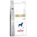 GASTROINTESTINAL FIBRE RESPONSE CANINE 2KG