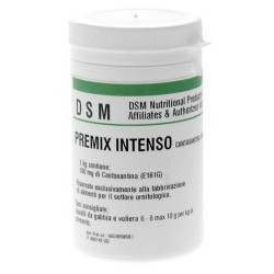 PREMIX INTENSO 100GR