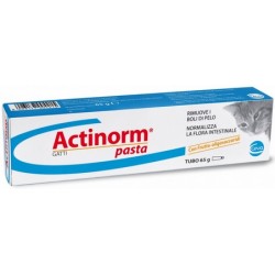 Actinorm Pasta Gatti 65 gr