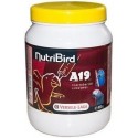 NUTRIBIRD A19 800GR (imbecco ara)