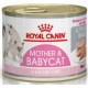 BABYCAT INST 34 195GR