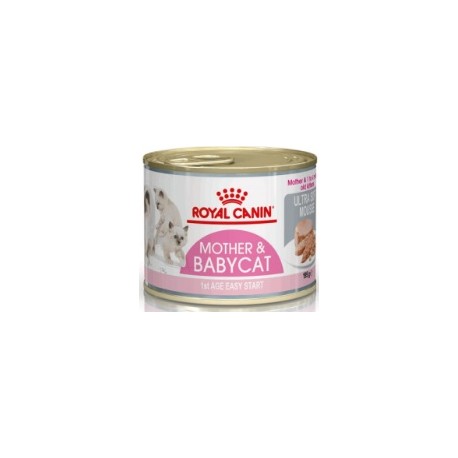 BABYCAT INST 34 195GR