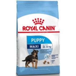 ROYAL MAXI PUPPY 15 KG