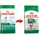 Royal Canin Mini Ageing 12+ Cane 800 gr