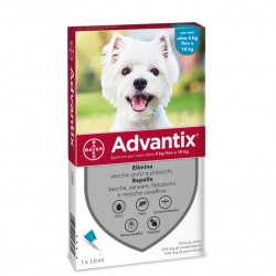 ADVANTIX CANE 1PIP 4-10KG