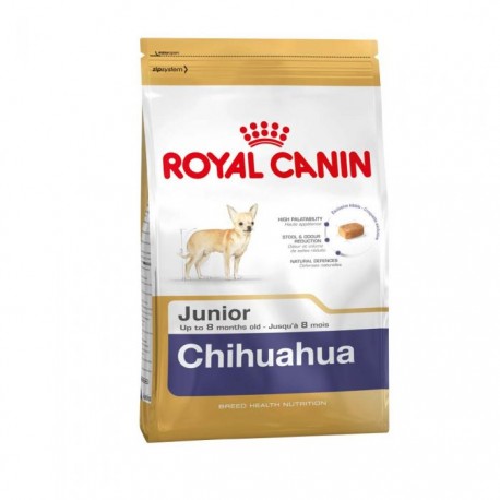 CHIHUAHUA JUNIOR 1.5KG