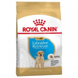 ROYAL CANIN LABRADOR PUPPY 12KG