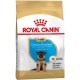 ROYAL CANIN GERMAN SHEPHERD PUPPY 12KG