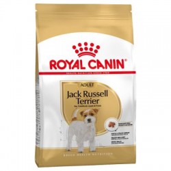 JACK RUSSEL ADULT 1,5KG