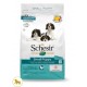 SCHESIR DOG PUPPY SMALL 2KG