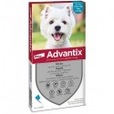 ADVANTIX CANE 4 PIP DA 4 A 10KG