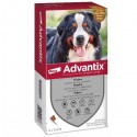 ADVANTIX CANI 6 PIP OLTRE 40KG