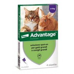 ADVANTAGE 80 GATTO OLTRE 4KG