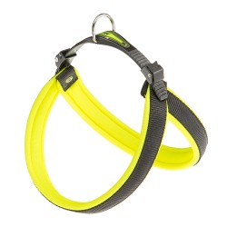 AGILA FLUO 8 GIALLO PETTORINA