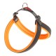 AGILA FLUO 6 ARANCIO PETTORINA
