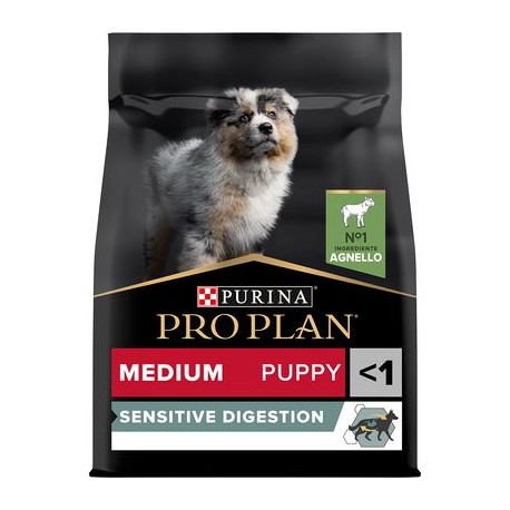 PUPPY MEDIUM AGNELLO 12KG