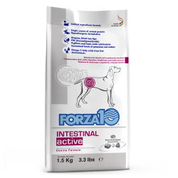 INTESTINAL ACTIVE 10KG