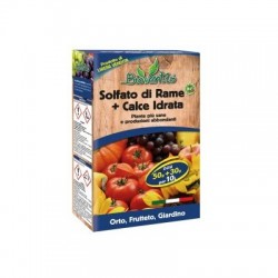 BIOVENTIS DT SOLFATO DI RAME+CALCE IDRATA 500GR