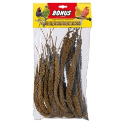 BONUS SPIGHE DI PANICO 250GR