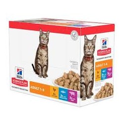 ADULT GATTO MULTIPACK 12X85GR